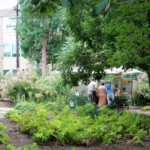 Gardening Guesswork