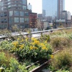 The Gardens Above