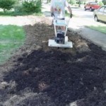 Digging a New Bed