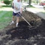 Rethinking the Way We Plant, Part 1