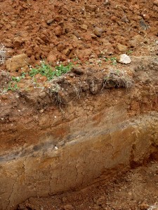 Check out the distinct layering of topsoil applied over compacted subsoil.