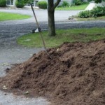 Mulch Thought Went into This