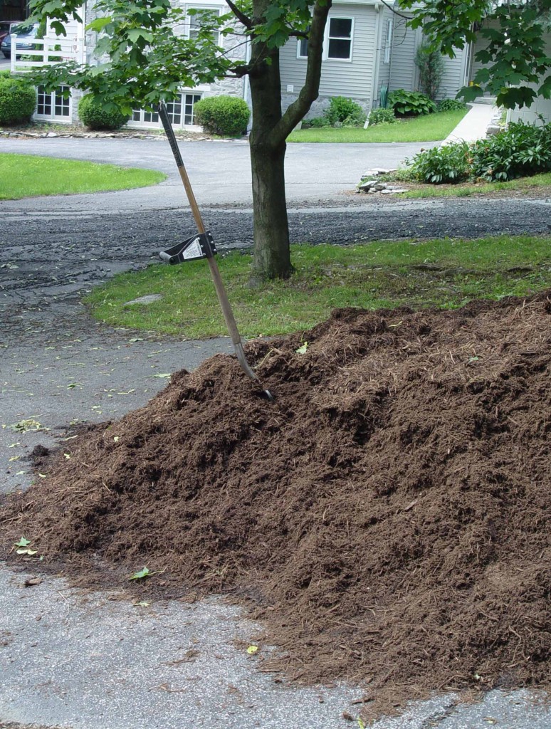 Mulch Thought Went into This | Garden Housecalls