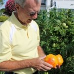 Are You a Crazed Gardener?