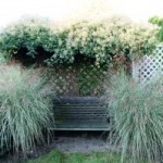 Garden Sitting Places