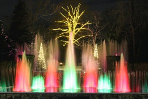 The dancing, lighted water jets in action.