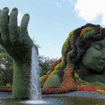 Top Garden Moments of 2013