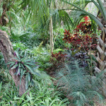 Where the Plants Are Still Growing