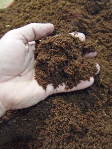 Coir -- a peat moss substitute that's made out of finely ground coconut husks.