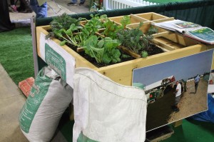 One of Your Garden Solution's table garden boxes, planted in Square-Foot-Garden style.