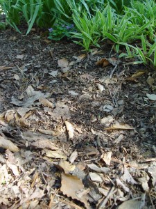 Rubber mulch is an alternative to leaves and wood mulch... but there are possible pitfalls.