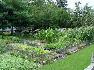 It's possible to grow a fair number of vegetables in a less-than-full-sun location.