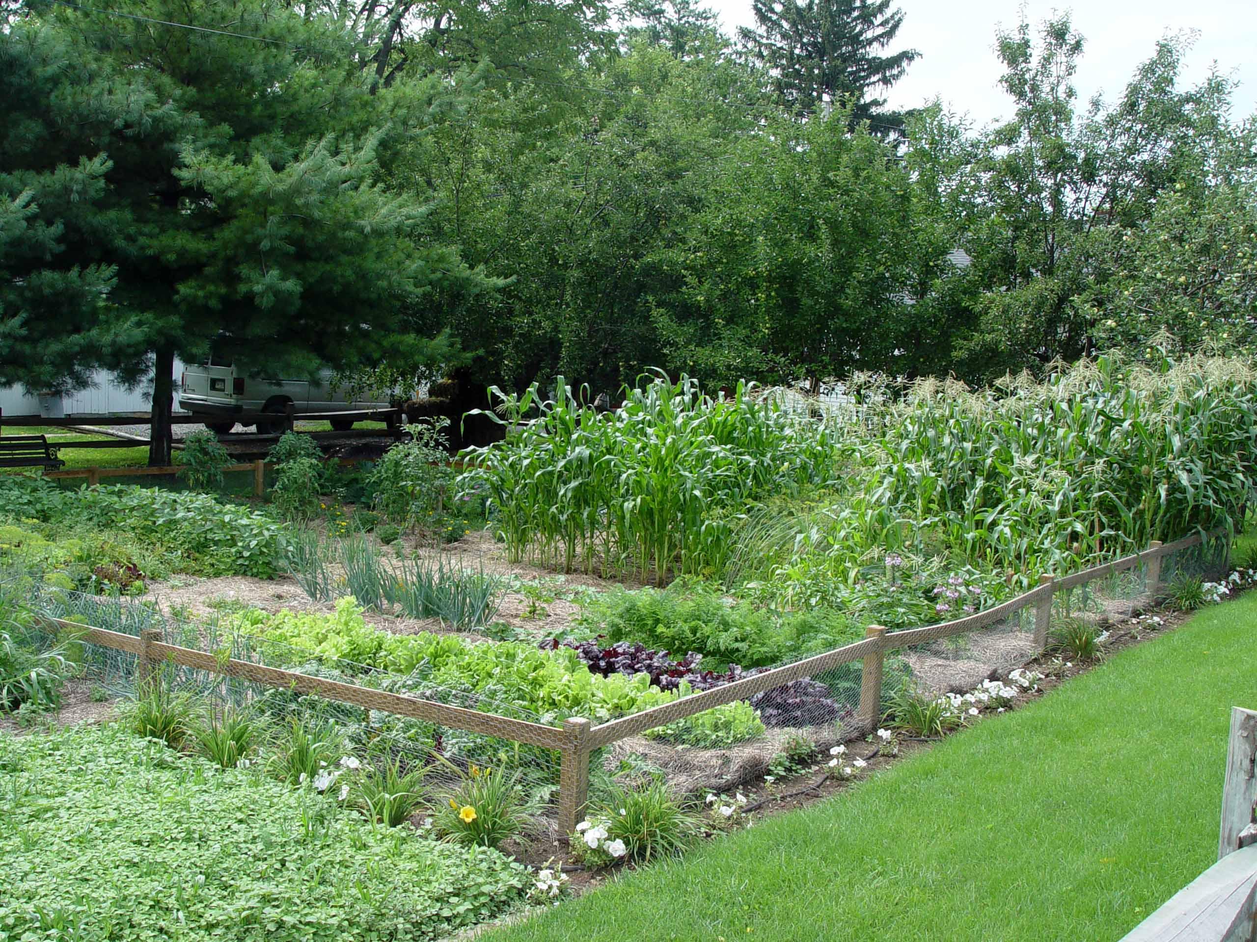 Garden Housecalls - Grow Vegetables in the Shade? It's ...