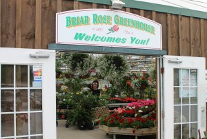 Another of our favorites, especially for annuals -- Briar Rose Greenhouse.