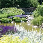 The People’s Garden