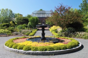 A fountain surrounded by creeping sedums makes a beautiful focal point at Tower Hill Botanical Garden.
