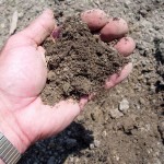 Don’t Treat Your Soil Like Dirt