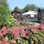 A Community of Gardens