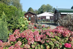 One of the lots in Amsterdam's Tuinpark Nut and Genoegen garden park.