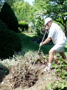 If you realize a plant is in the wrong spot, move it ASAP -- the smaller it is, the better.