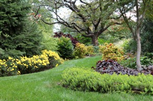 Fall is an excellent time to plant and improve the landscape.