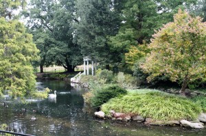 Morris Arboretum's swan pond.