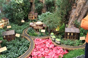 The U.S. Botanic Garden's model train Christmas exhibit.