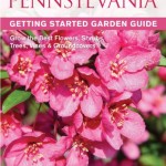 By George! A New Book