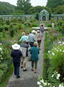 Oglers on one of our past trips to Old Westbury in New York.
