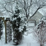 The Landscape in Winter