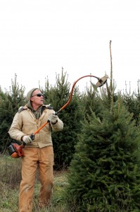 Rod Wert uses what looks like a weed whacker with blades on the end to prune his Christmas trees.