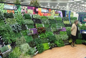 The MANTS show is where garden centers go to nail down their plant and product lineup for the coming year.