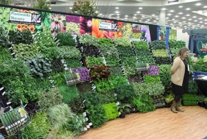 The MANTS show is where garden centers go to nail down their plant and product lineup for the coming year.