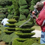 Charleston Gardens and a Man Named Pearl