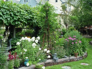 This Buffalo, N.Y., back yard uses a mixed garden to screen out the neighbor's yard.