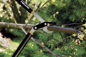 Loppers are better cutting tools for mid-sized branches. Credit: Fiskars