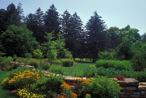 An example of a naturalistic design using native plants, by Pennsylvania designer Larry Weaner.