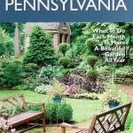 Now Available… George’s What-to-Do-When Book