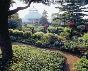 A small part of the New York Botanical Garden in summer.