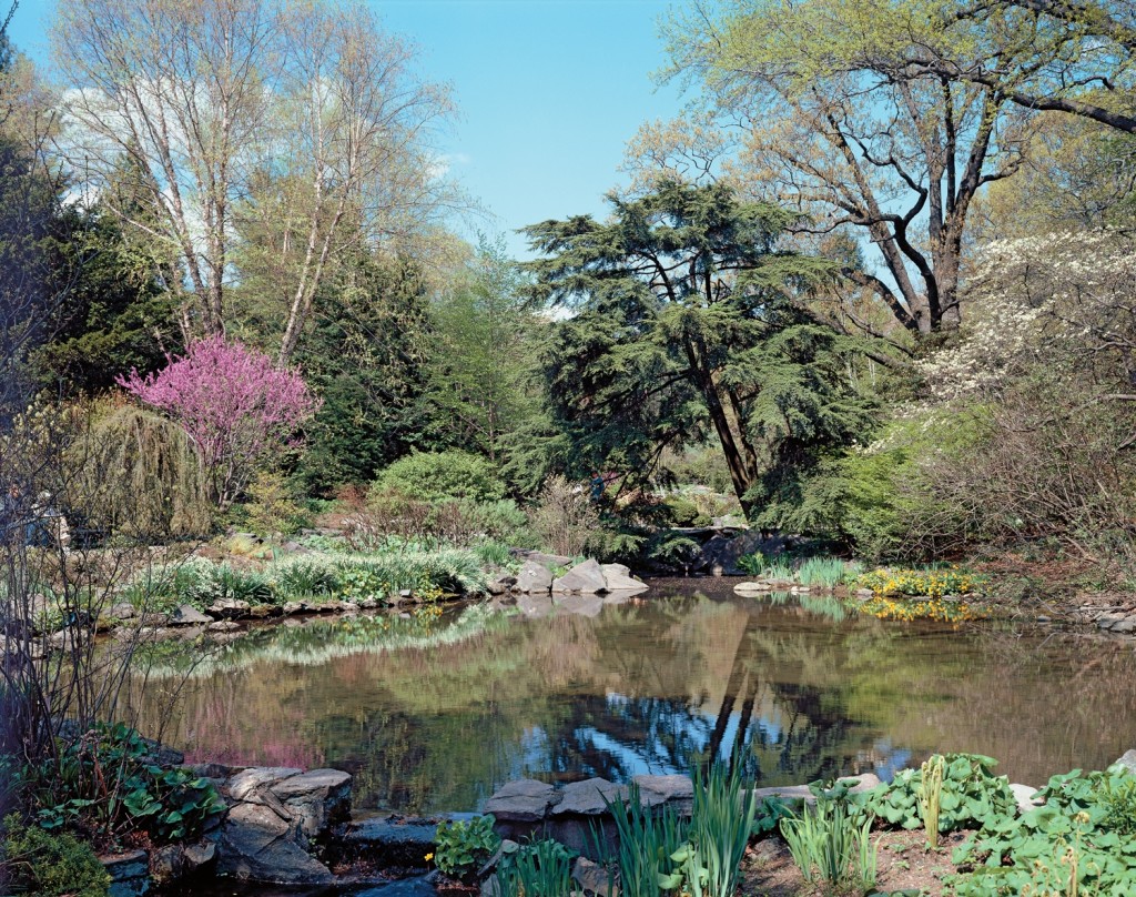 New York’s Best Two Gardens | Garden Housecalls