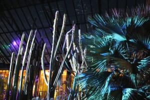 Nightscape lights project onto plants in Longwood's Silver Garden.