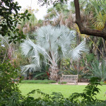 Shorten Winter with Florida Gardens