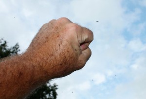 Notice the black flies landing on and swarming around this fist in the air.