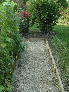 A fence with the top left unsecured (i.e. no support stakes) sometimes discourages groundhogs.