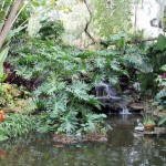 2016 Garden Trips Ready to Unwrap