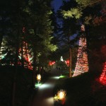Christmas Gardens