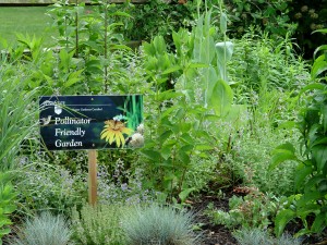 Pollinator gardens are still on the upswing.