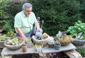 Mike Larkin with just a few of his hypertufa potted succulents.