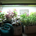 What Basement Lights Can Do