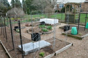 It might not look like much is going on yet in my gadget-filled garden, but most of it is planted.
